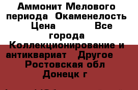 Аммонит Мелового периода. Окаменелость. › Цена ­ 2 800 - Все города Коллекционирование и антиквариат » Другое   . Ростовская обл.,Донецк г.